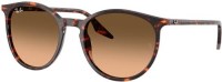 Ray-Ban 2204 14293B 51 aurinkolasit
